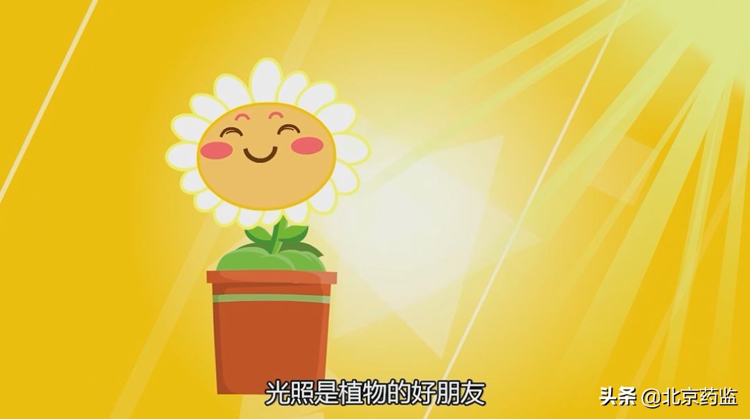 用药有哪些误区,用药误区是认为病情好转了就停药