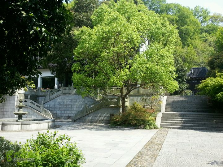 杭州西湖水下有秘境,杭州西湖美景胜似人间仙景