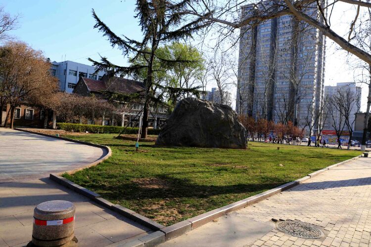 百年山东看青岛千年齐鲁逛青州,山东大学趵突泉景区