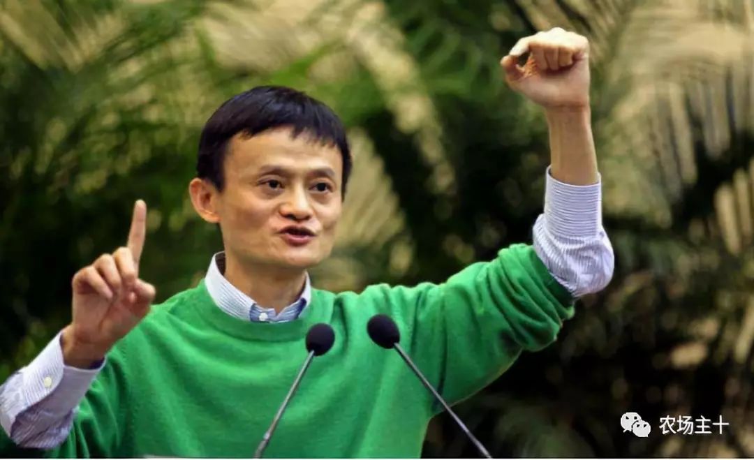 马云耕地亩产多少,马云谈现代农业