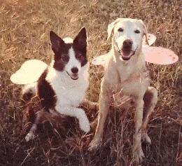 搞笑gif趣图妹子你别闹了,搞笑gif趣图妹子你这笑容太魔性了