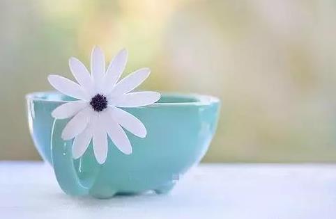 做一个有风度的人是你的骄傲,做一个内心明朗的人的美文