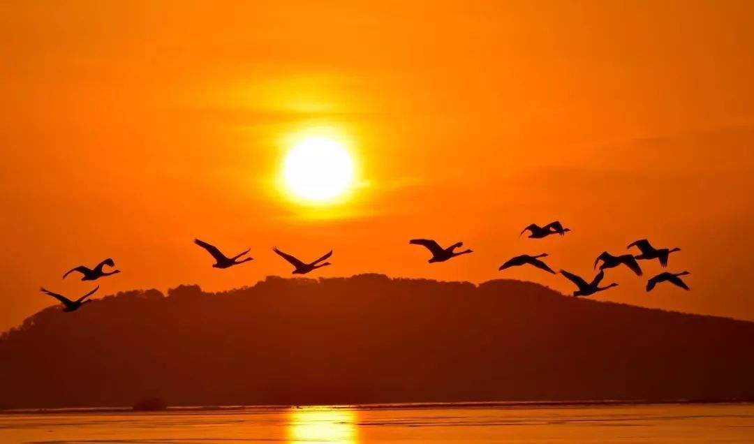 嵩山佛寺遍山坳：成千上百均有名