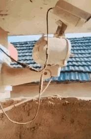 今天来大哥家吃饭，嫂子亲自下厨，待遇真高