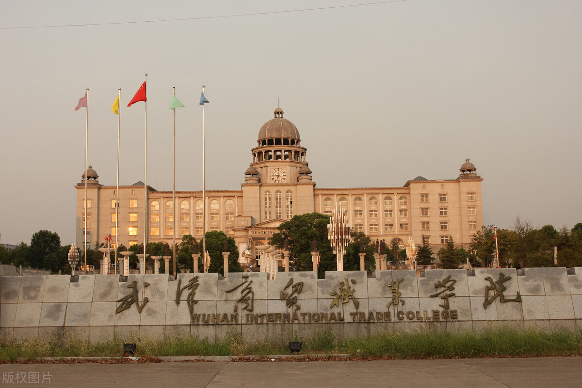 武汉商贸职业学院知名校友,武汉商贸职业学院优秀校友