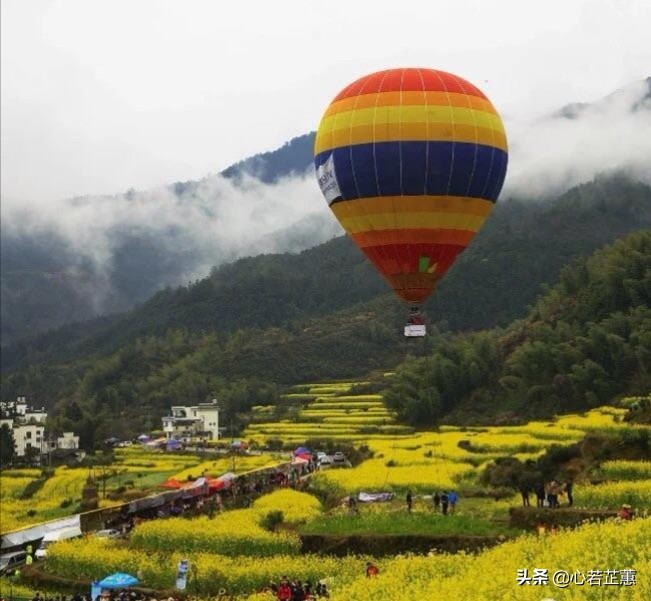 油菜花一片片的像什么,梯田油菜花和平原油菜花