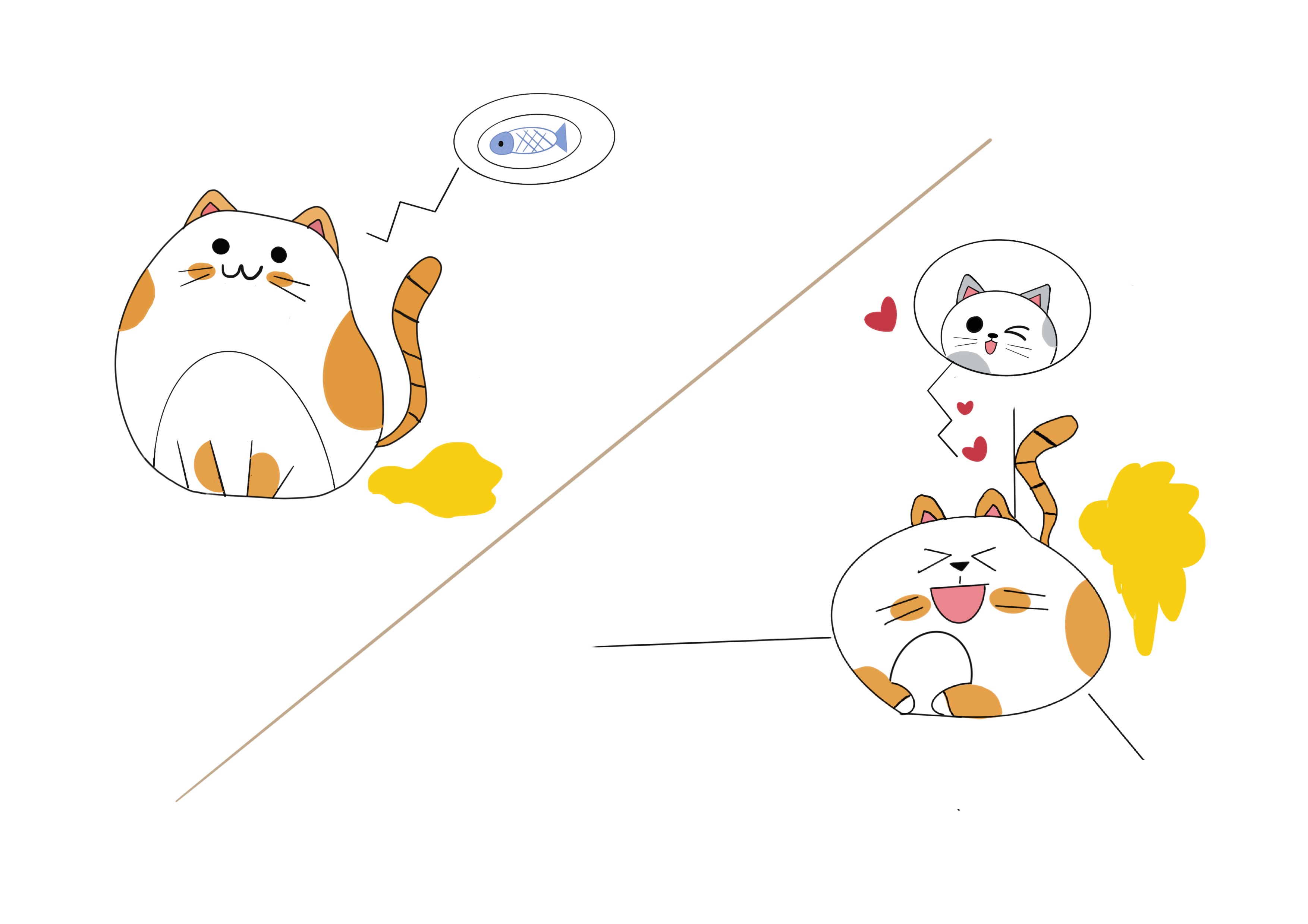 铲屎官：猫主子在家乱撒尿应该怎么办？先找原因，然后再解决问题