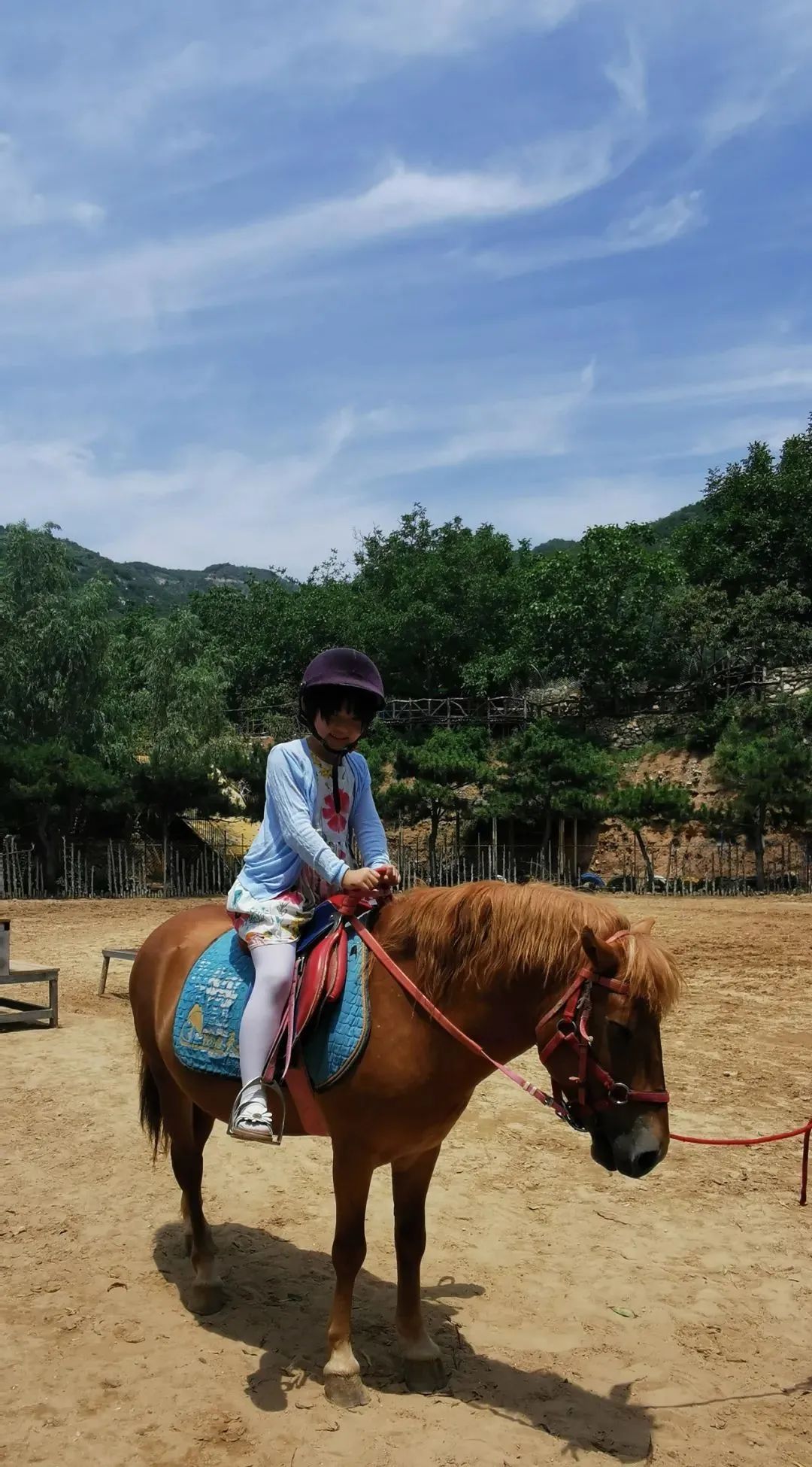 济南适合遛娃的免费去处,春节遛娃好去处济南