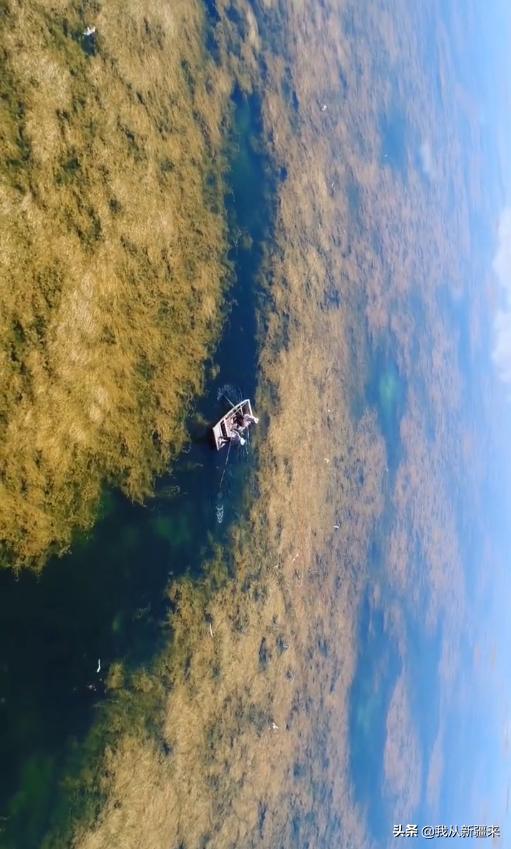 除了伽师瓜，你对伽师一无所知