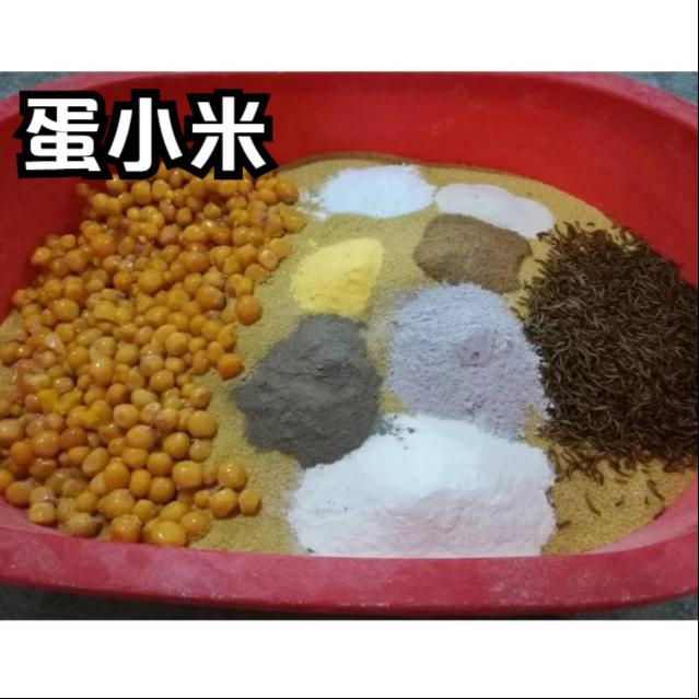 鹦鹉饲养方法和注意事项,鹦鹉饲养方法及注意事项