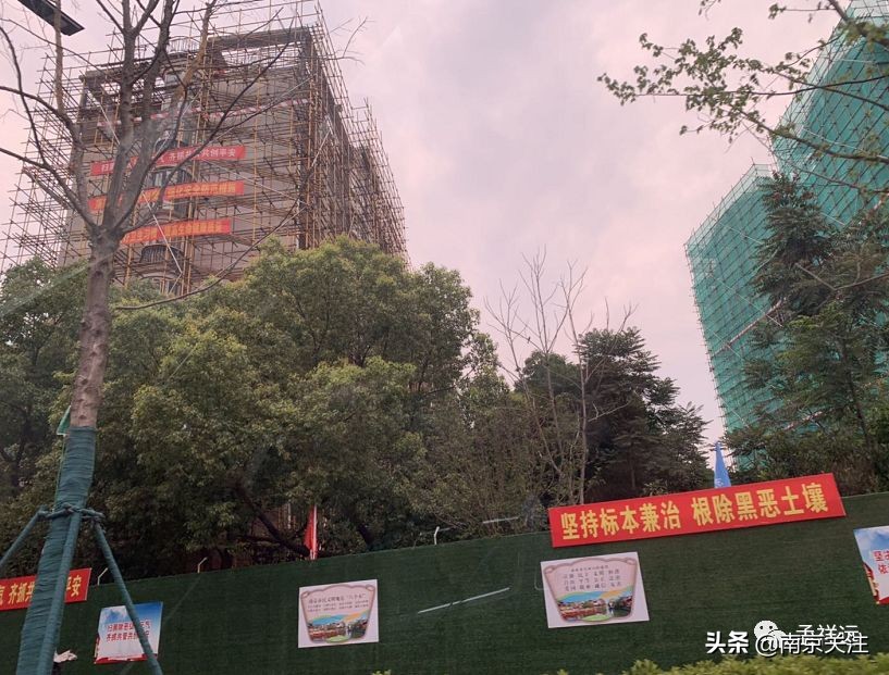 最近南京新消息,南京正在发生什么变化