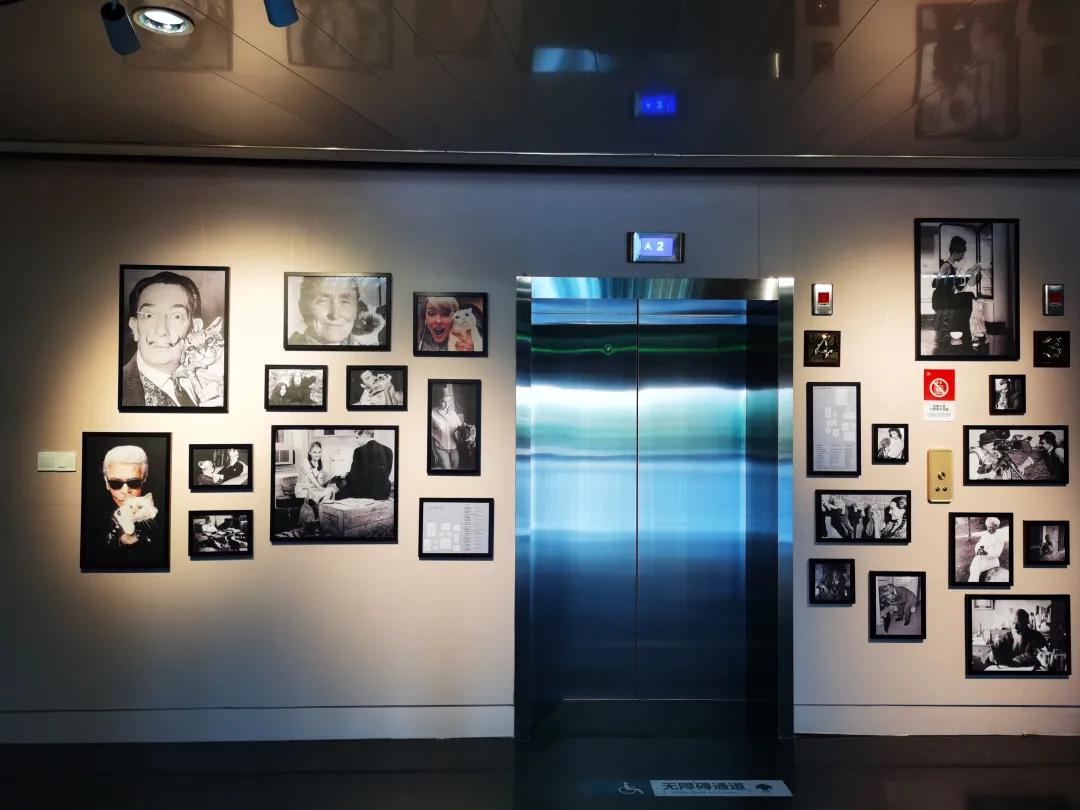 天津天塔里面都有什么,天津的宝藏地点