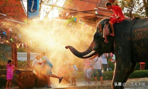 泼水节共同欢度,泼水节欢聚一堂