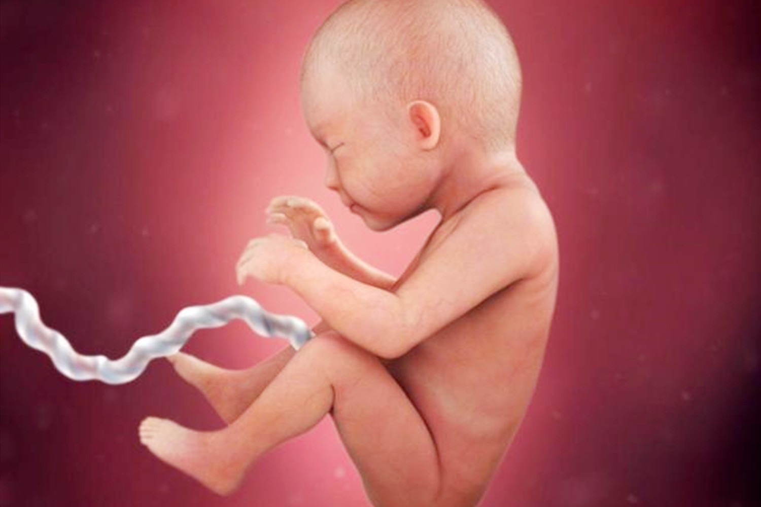 五个多月胎儿每天会按时胎动吗,胎动要每天按时数吗