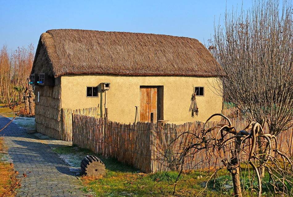 五年级八单元作文《推荐一本好书》，这样写同学赞赏，老师给满分