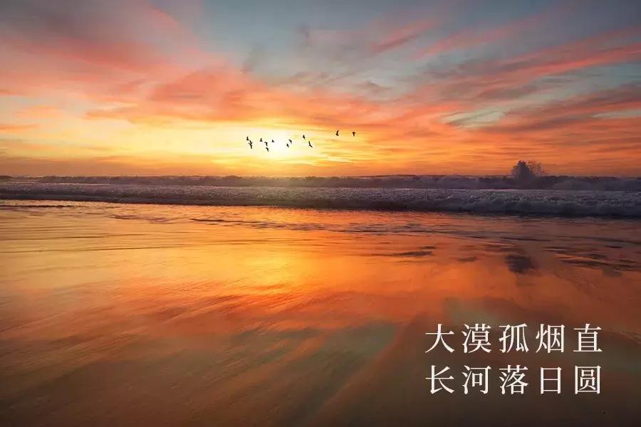 王思聪的深度解析,王思聪是怎么很成功的