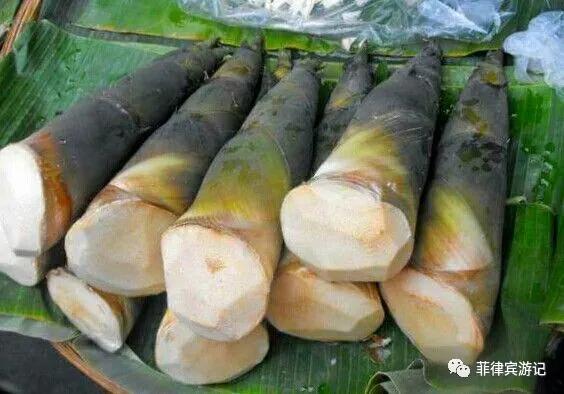 菲律宾青菜价格表,菲律宾蔬菜为什么那么贵