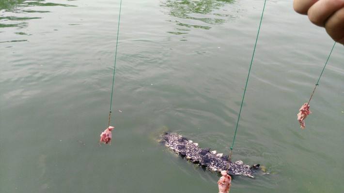 泰国跟团游6天5晚,泰国跟团游五天四晚含机票