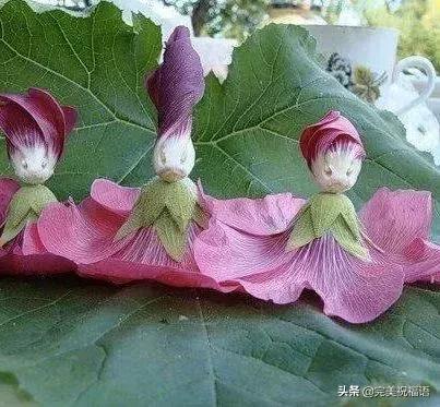 六一相册影集,六一照片专场