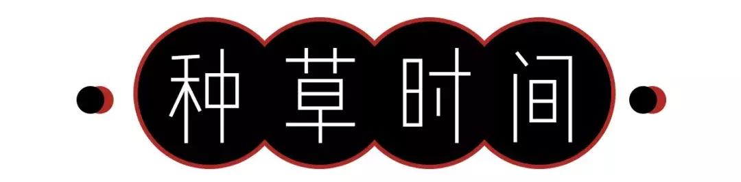 港风妆容穿搭复古图片,港风妆容又高级又耐看