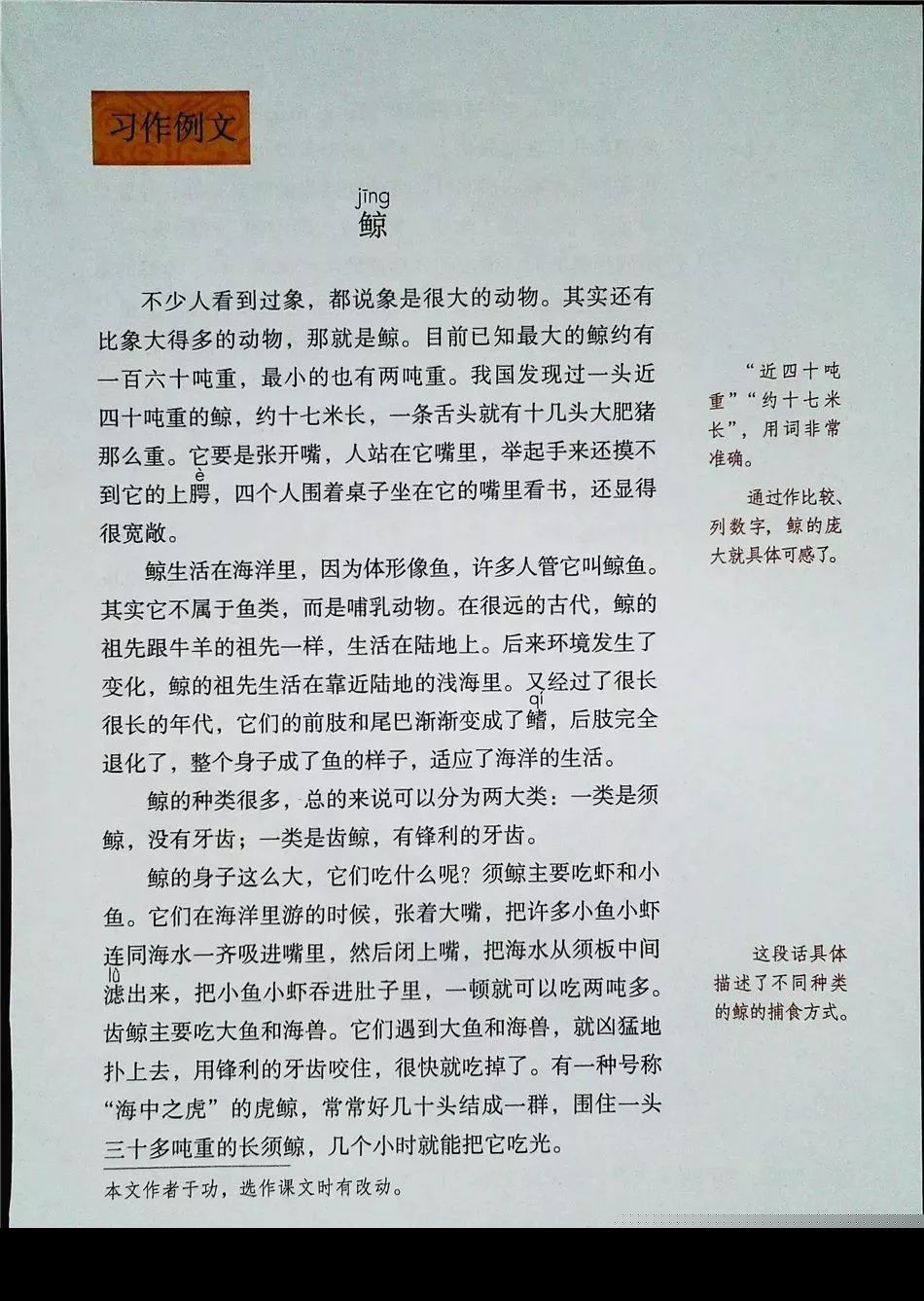 2021年版五年级下册语文电子课本,五年级下册语文长江电子课本2022