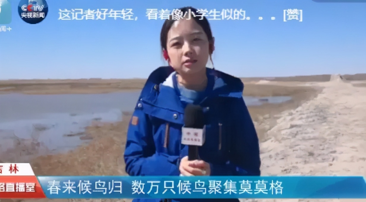 看央视节目,看央视