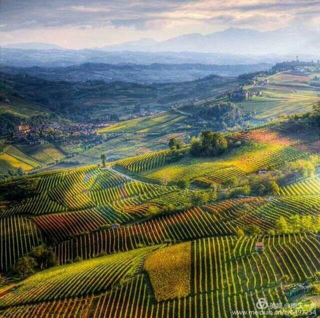 种农高手,农业高手