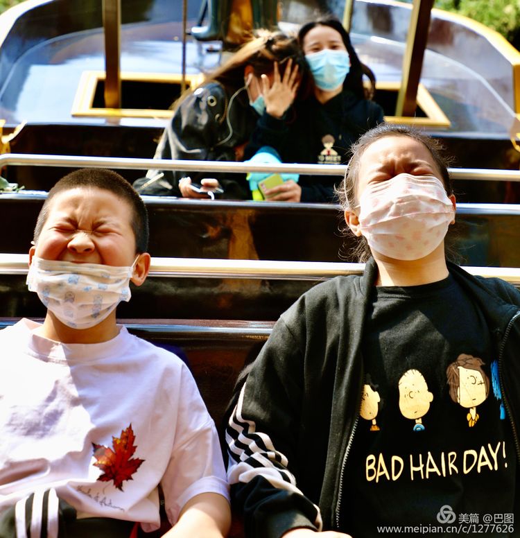 看洛阳牡丹花卉节,洛阳古都牡丹花展