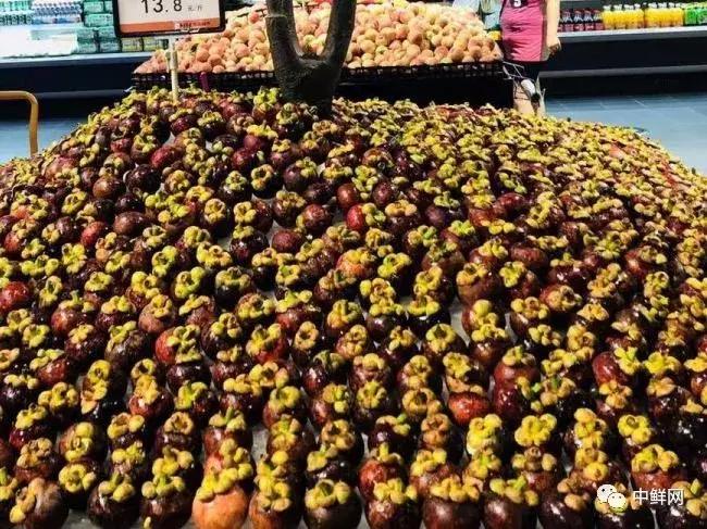 山竹教程完整视频,山竹运输怎么保新鲜