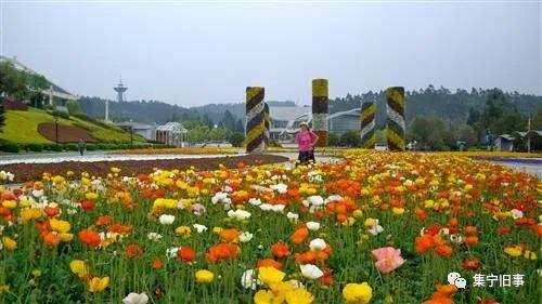 游记——彩云之南