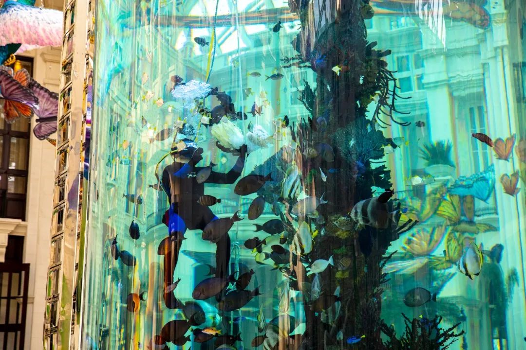 免费游澳门｜除了赌，在澳门大多数地方免费，拿好这份攻略吧