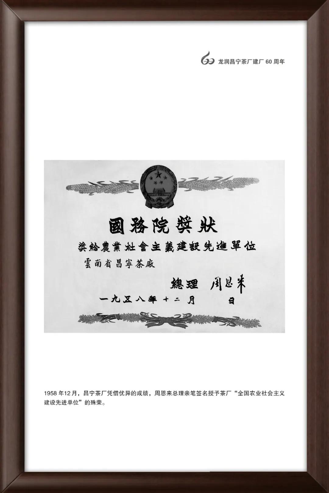 龙润茶大金芽1958,龙润大金芽好茶