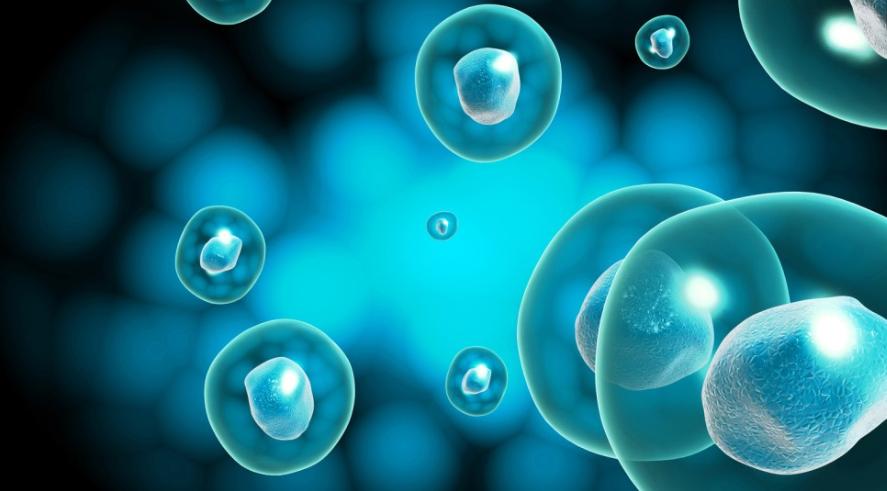 一型糖尿病干细胞有攻克希望吗,干细胞治疗是老年糖尿病的新希望