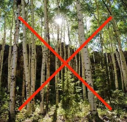 传说只有败家小仙女才能看懂的26个词，再来一波代购黑话