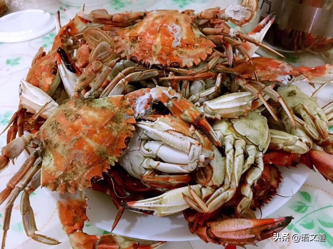 辽宁省大连市算不算东北人,大连有几个东北人