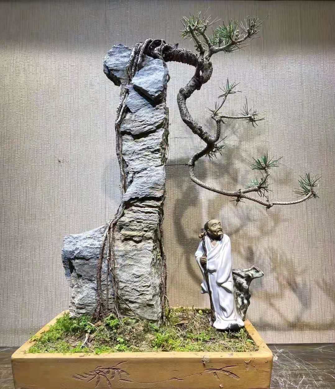 附石黑松的养护技巧 (大附石黑松)