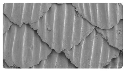 罗永浩和锤子合集,罗永浩的锤子篇