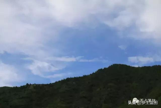 蓝田靳洪涛图文：蓝田葫芦岔一个值得去的地方