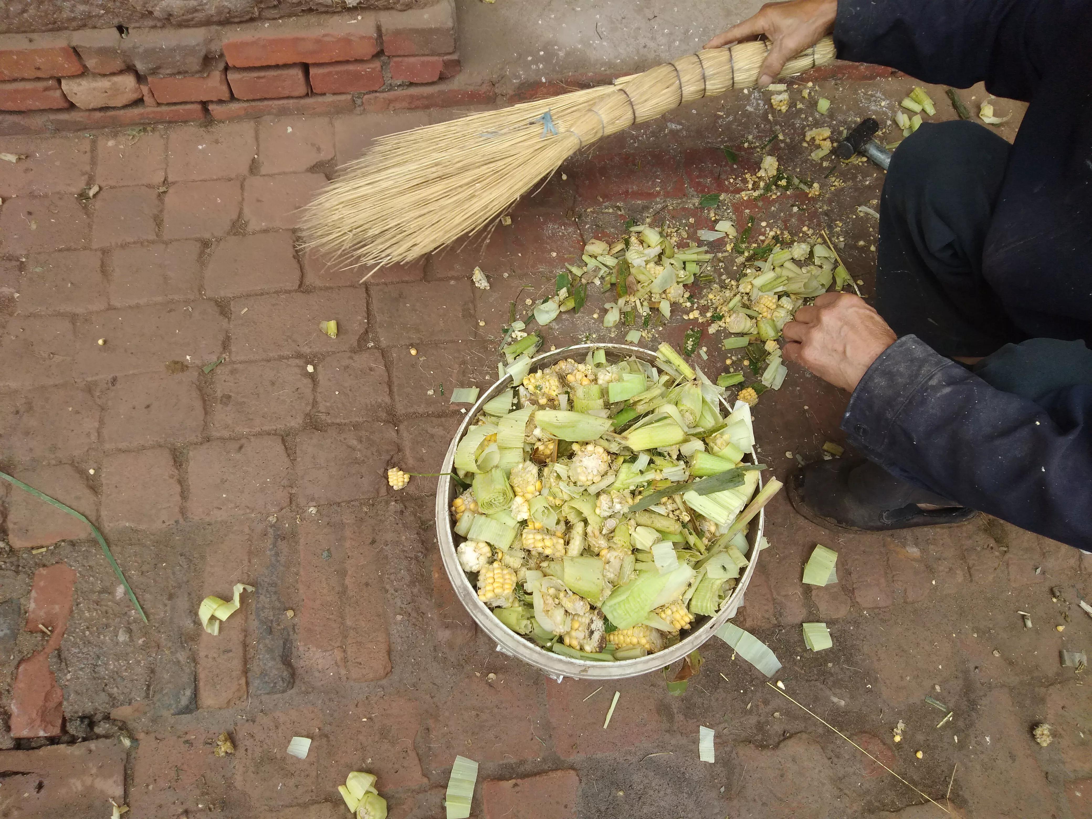 养羊赚钱技巧牢记这六句话,养羊怎样才能快速赚钱