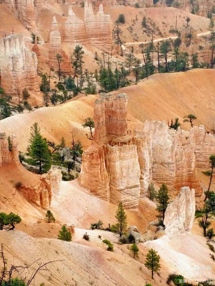 鍖楃編鏋儏闃虫柊,鍖楃編鏋儏鍥剧墖