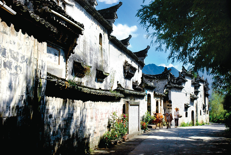 缙云仙都，美若仙境，春风十里不如陪你一起领略缙云风光