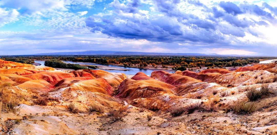 涓嶈兘鍘诲鍦扮殑鐞嗙敱,浜旂浜轰笉鑳藉幓鐤嗗唴鏃呮父