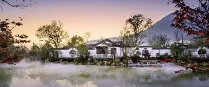 为什么绿城这么好,为什么绿城的房子抢手