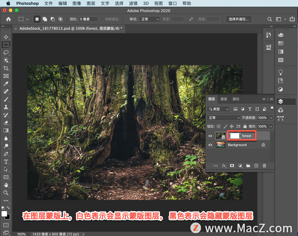 ps怎么结合图层蒙版制作动图,ps如何用蒙版提亮局部