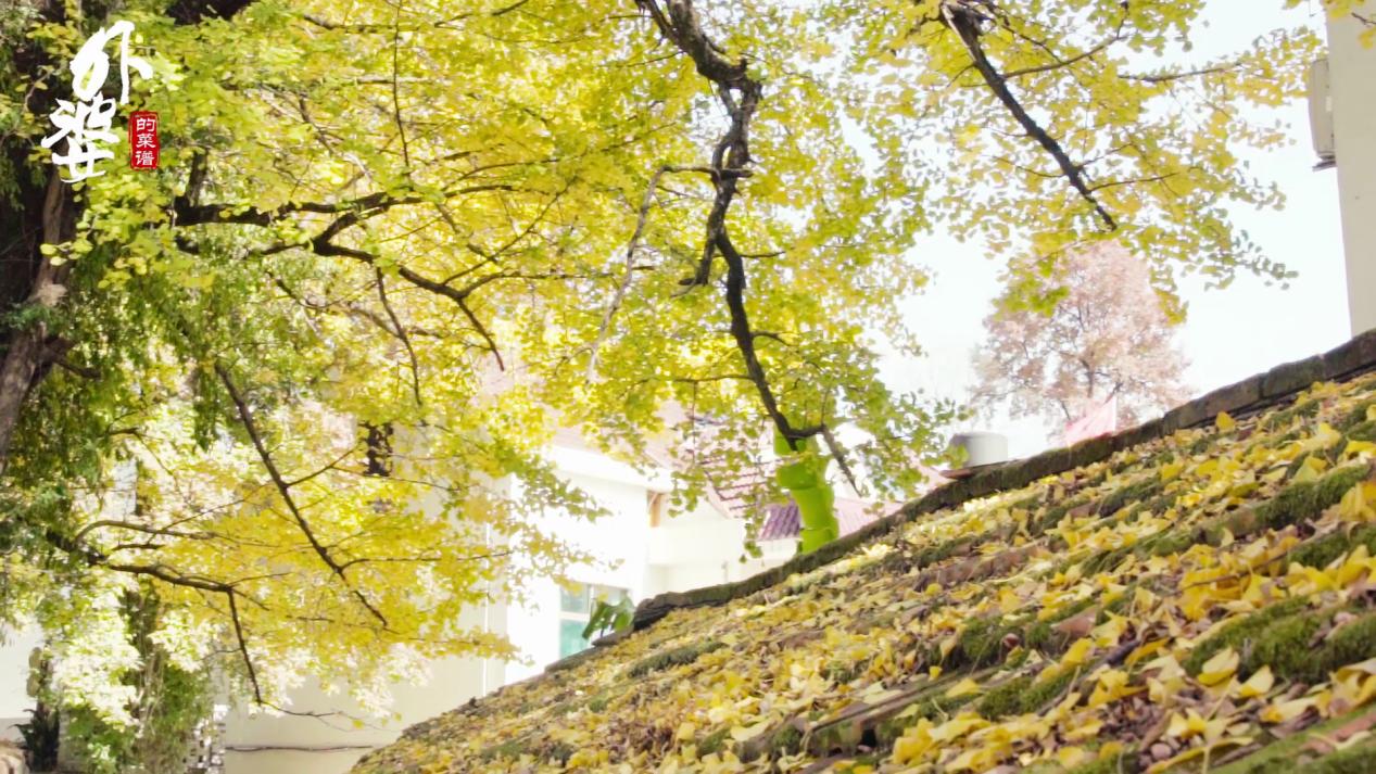 鸭子煮法大全家常做法,鸭子软烂