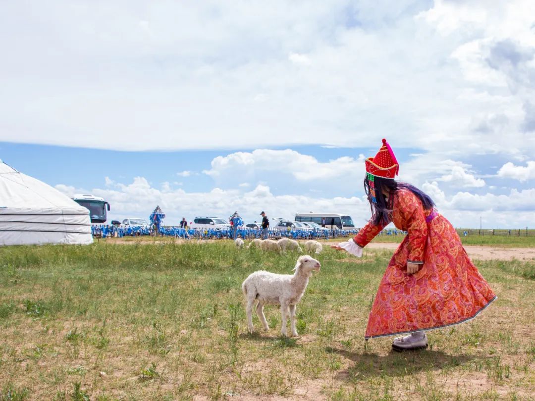 自驾三天呼伦贝尔大草原,自驾去呼伦贝尔草原七日游的攻略
