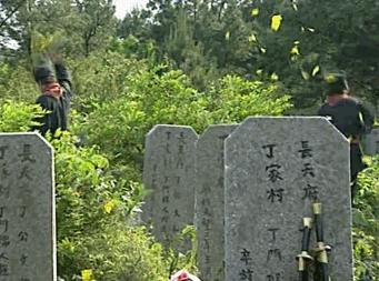 少年包青天第二部双胞胎案子,少年包青天抄袭了哪些案子