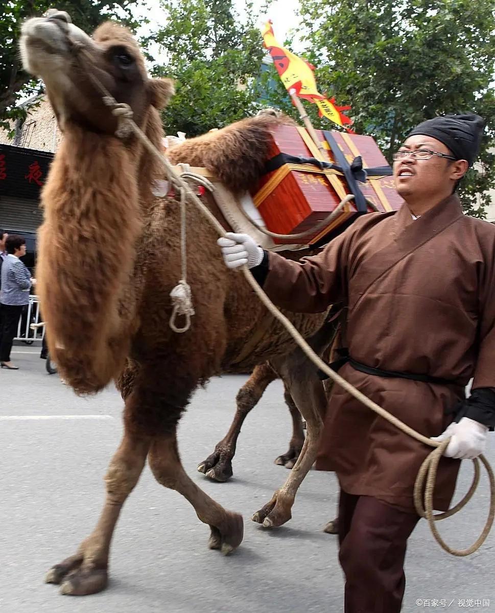 泾阳不是不产茶吗,泾阳产茶叶吗