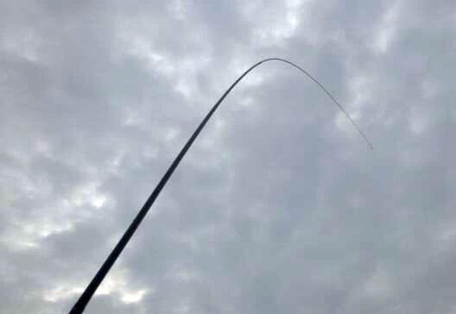 钓鱼人的困惑,这种健鲤和平常鲤鱼不一样吗?