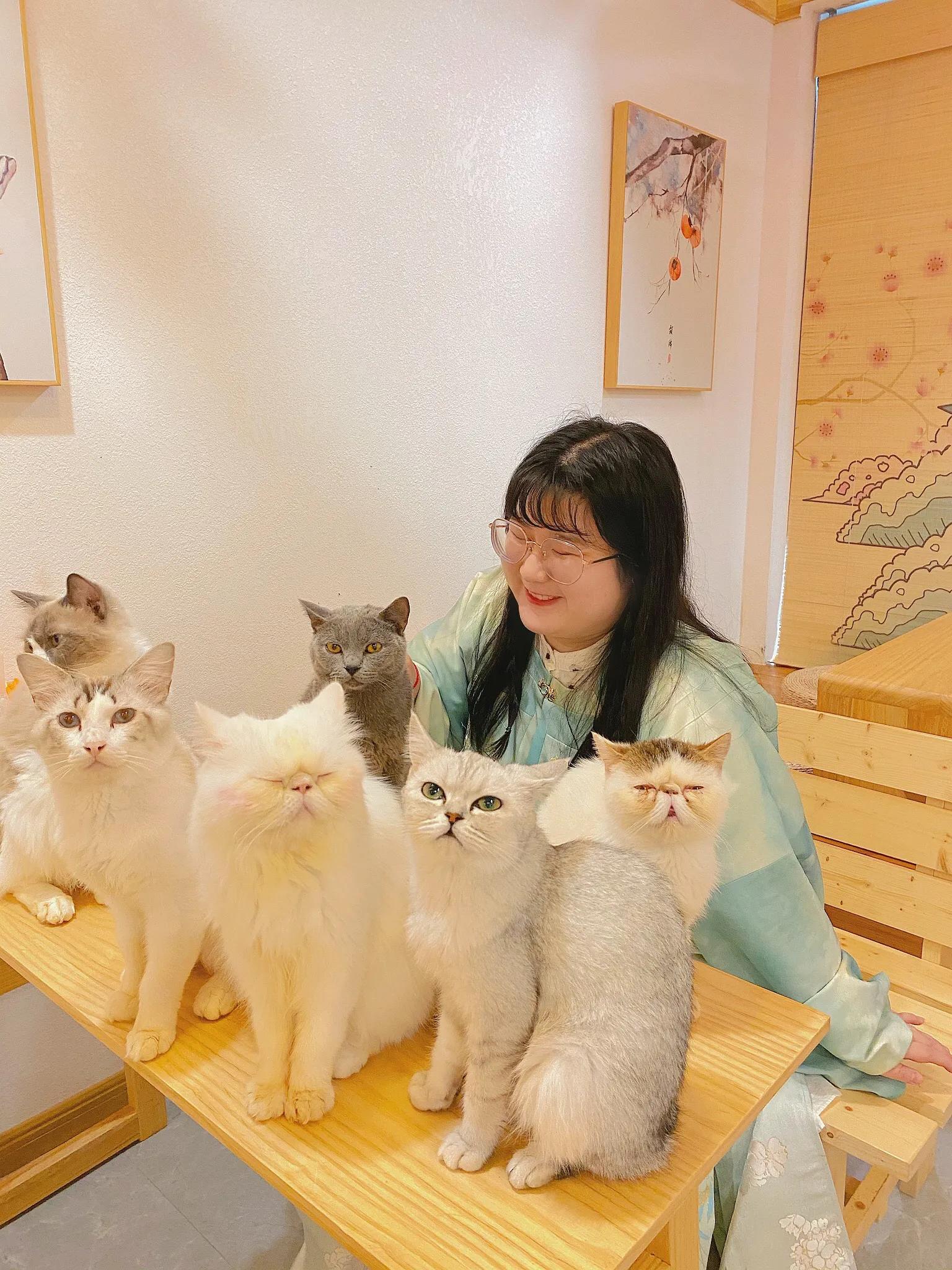 重庆探店｜换装撸猫撸羊驼撸龙猫，高萌预警